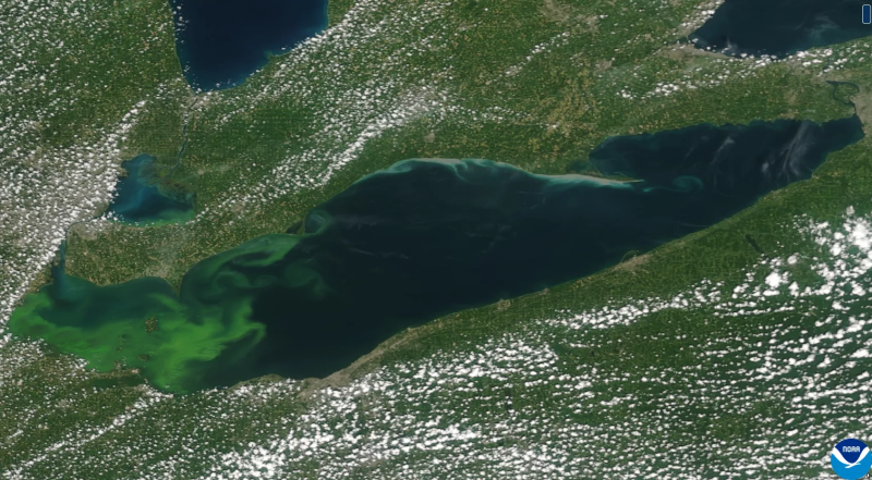 Harmful algal bloom in Lake Erie seen from Suomi-NPP