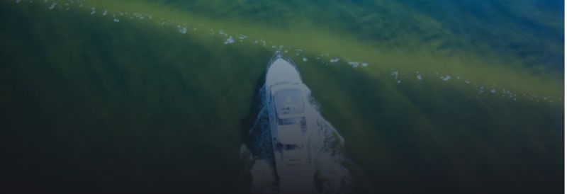A frame from the Emma Watkins film "An Ocean in Bloom."