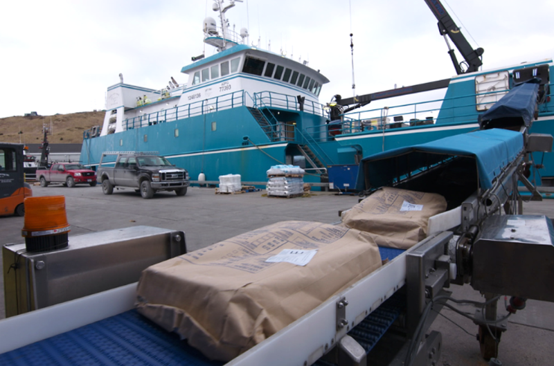 Offloading frozen Pacific cod from a catcher-processor vessel in Dutch Harbor, Alaska.