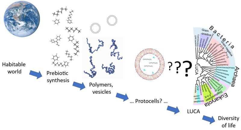 Origin of life stages, showing the large gap between what can reasonably be inferred and what is not yet understood