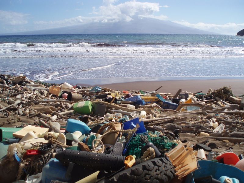 Debris washed up on a beach in Hawaii.