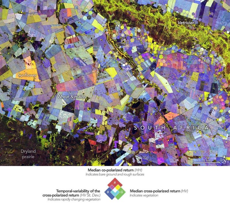 A false-color composite of NISAR data showing changes in agricuoltural areas of South Africa during the 2025-2026 growing season.
