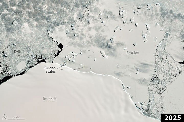 Landsat image of Smyley Island, 2025