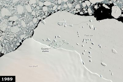 Landsat image of Smyley Island, 1989